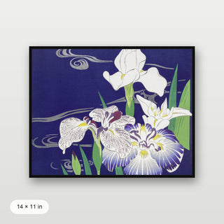 Tsukioka - Irises