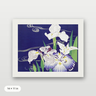 Tsukioka - Irises