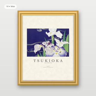 Tsukioka - Irises