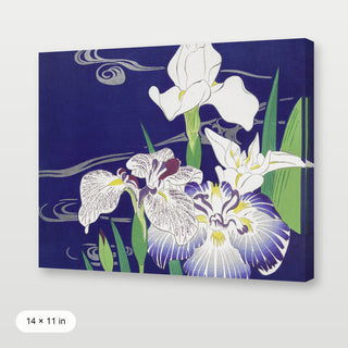 Tsukioka - Irises