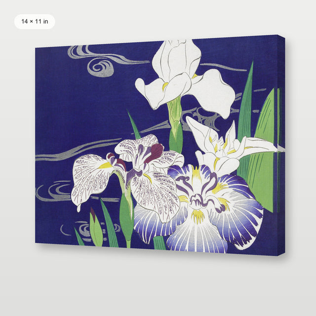 Tsukioka - Irises, Gallery Wrap
