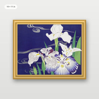 Tsukioka - Irises