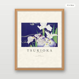Tsukioka - Irises