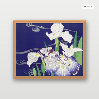 Tsukioka - Irises