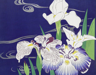 Tsukioka - Irises