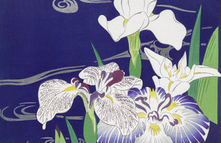 Tsukioka - Irises
