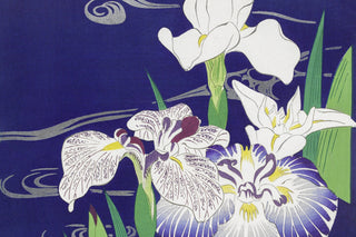 Tsukioka - Irises