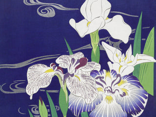 Tsukioka - Irises