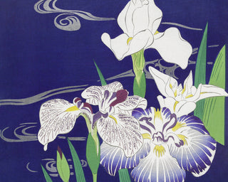 Tsukioka - Irises