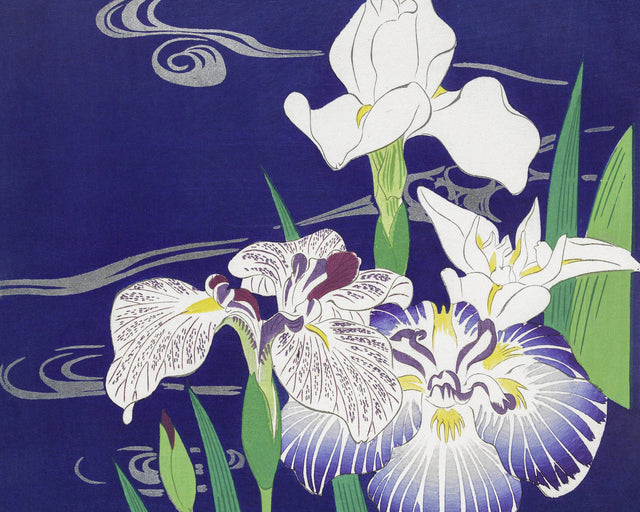 Tsukioka - Irises, Full Bleed