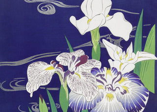 Tsukioka - Irises