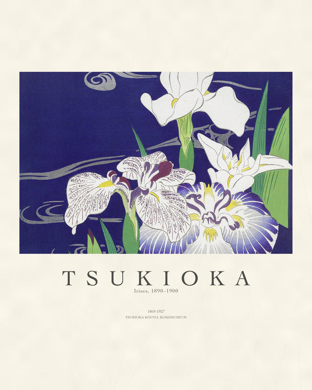 Tsukioka - Irises, Gallery Style