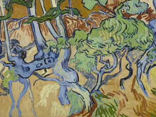 Van Gogh - Tree Roots