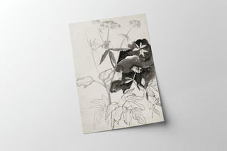 Vintage Flower Sketch