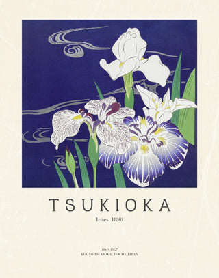 Tsukioka - Irises