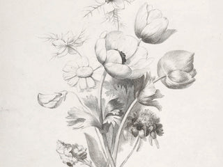 Antique Flower Sketch