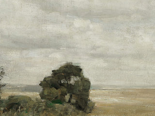 Muted Green Hay Field