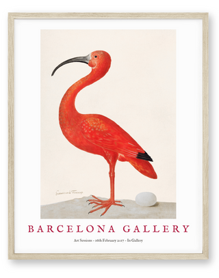 Barcelona Gallery - Ibis