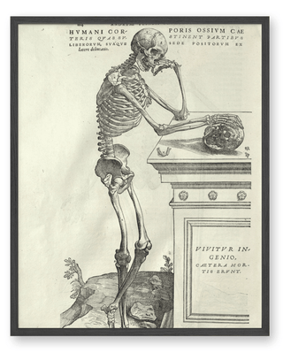 Vesalius - Human Anatomy