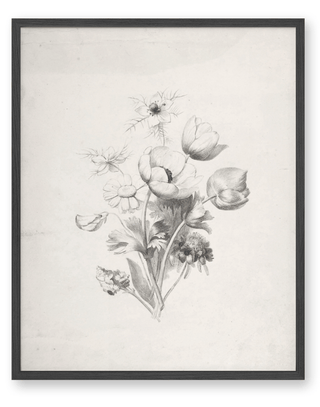 Antique Flower Sketch