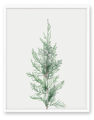 Winter Branch Print