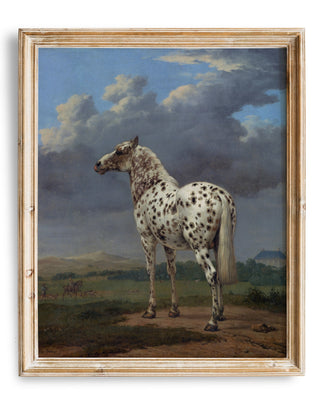 Vintage Piebald Horse Painting | Desert Wall Art | Rustic Boho Painting | Earth Tone
